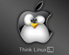Windows/Linux 101x80